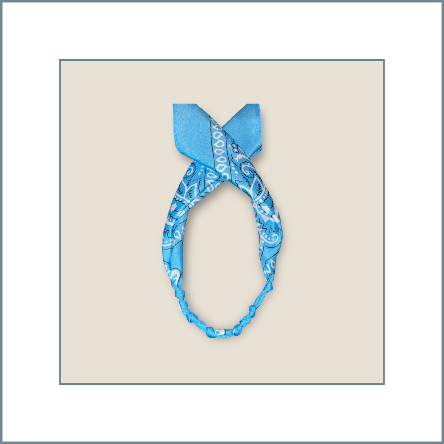 Blue Bandana