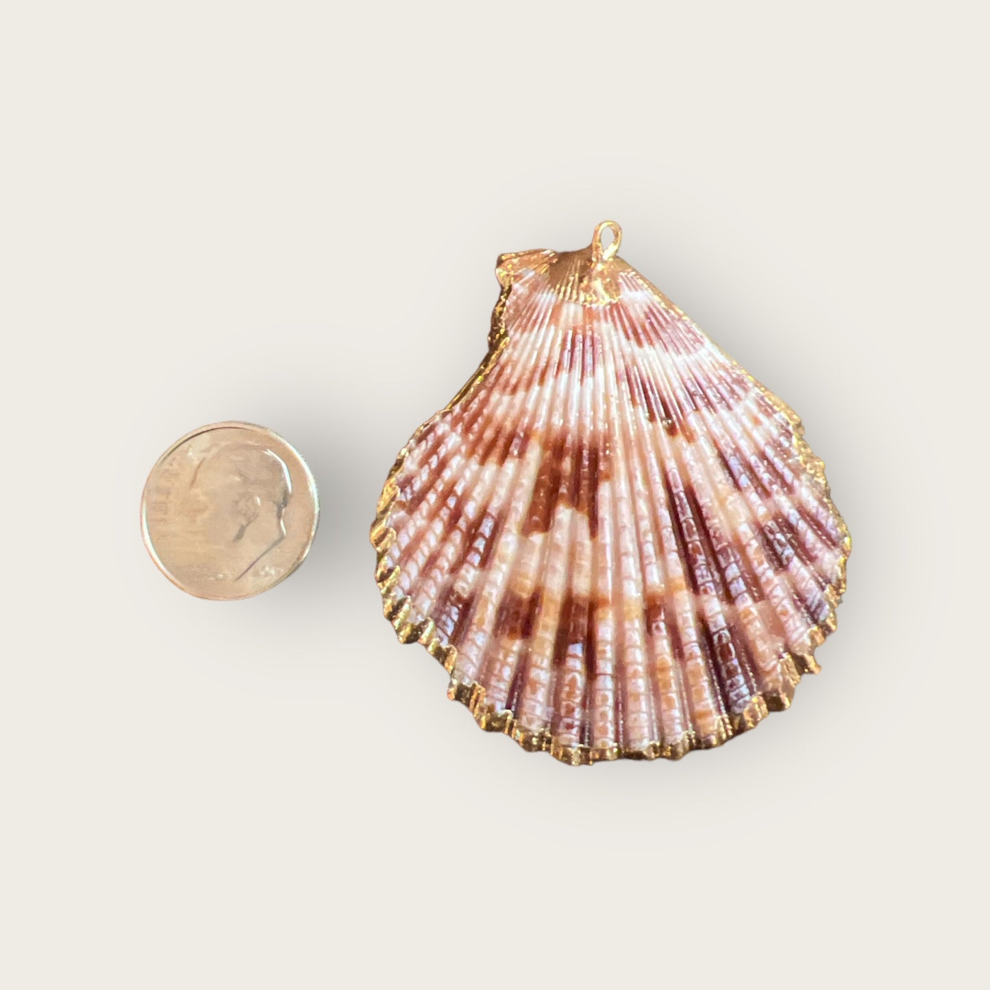 Large Shell Charm