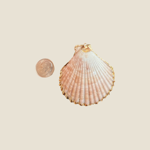 Medium White Shell Charm