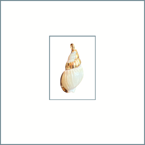 Tiny Conch Charm