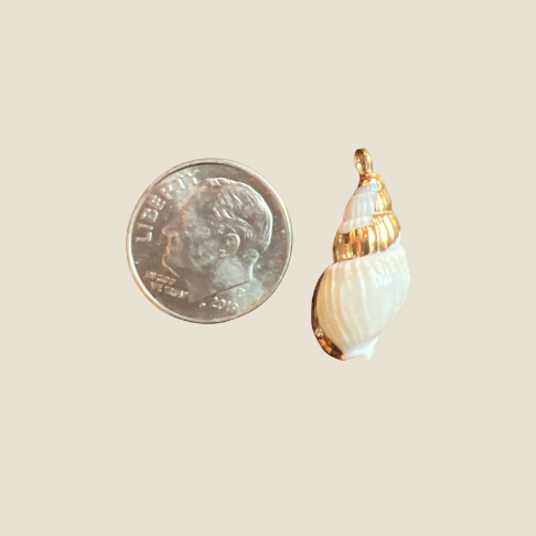 Tiny Conch Charm