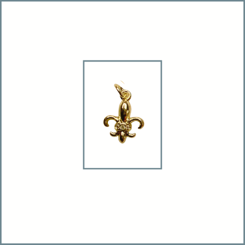 Fleur de Lis Charm