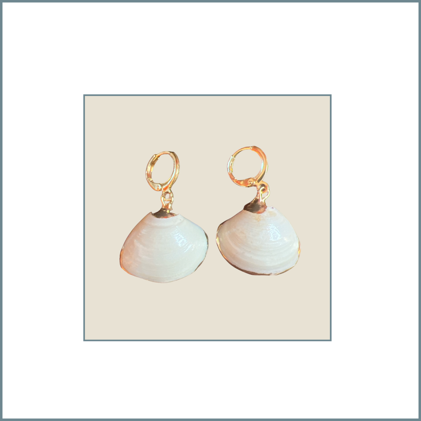 Small White Shell with Gold Trim Earrings