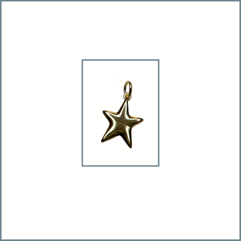 Star Charm