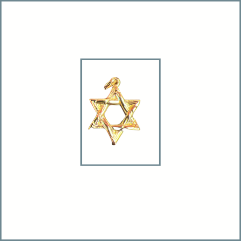 Star of David Charm