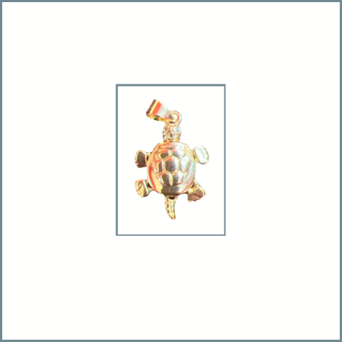 Medium Turtle Charm