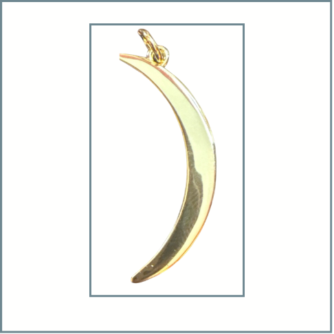 Crescent Moon Charm $20