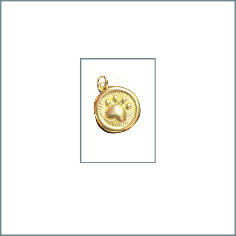 Paw Coin Charm