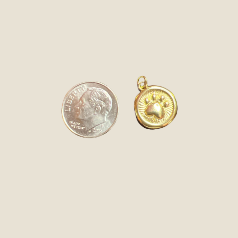 Paw Coin Charm