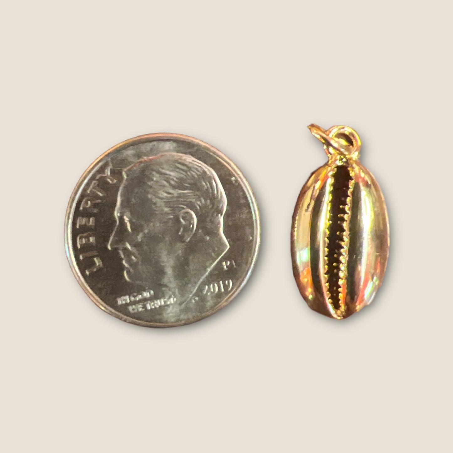 Cowrie Shell Charm