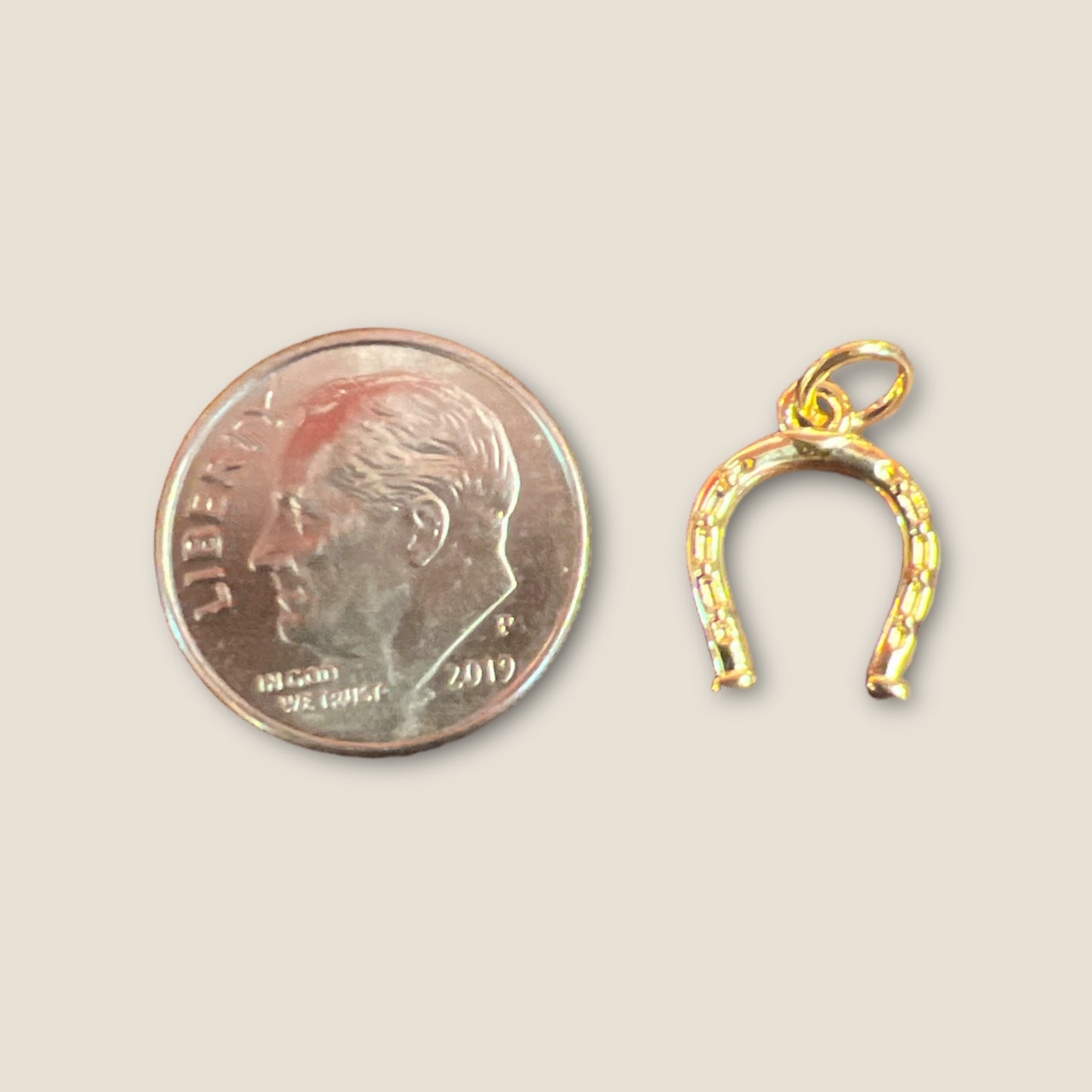 Horseshoe Charm