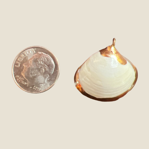 White Shell with Gold Trim Charm